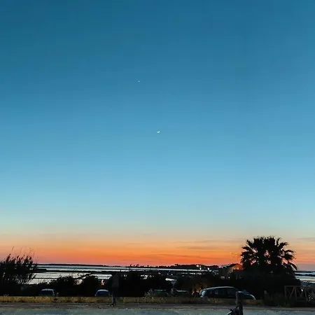 شقة L'ulivo Di Alice *