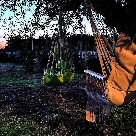 شقة L'ulivo Di Alice