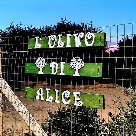 L'ulivo Di Alice *